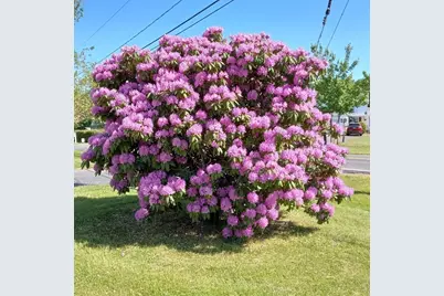 21 Fred Jackson, Southwick, MA 01077 - Photo 19