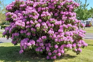 21 Fred Jackson, Southwick, MA 01077 - Photo 19