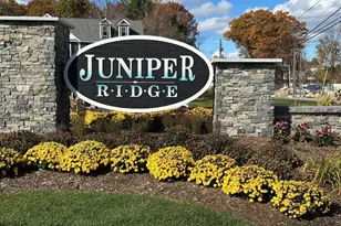 40 Elise Ave, Londonderry, NH 03053 - Photo 1