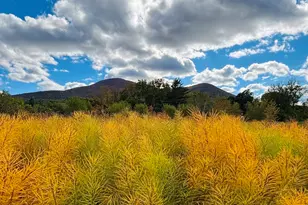 520 State Rd, North Adams, MA 01247 - Photo 15