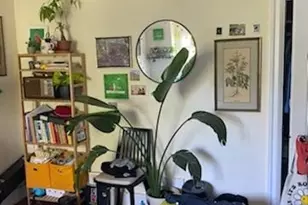 89 Franklin St, Boston, MA 02134 - Photo 11