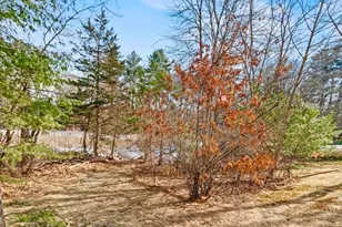 1156 Washington St, Walpole, MA 02081 - Photo 25