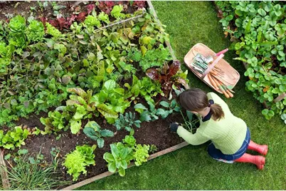 81 Oxbow Road #39-3, Raynham, MA 02767 - Photo 23