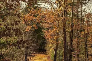 514 Old County Rd, Wales, MA 01081 - Photo 29