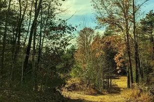 514 Old County Rd, Wales, MA 01081 - Photo 31