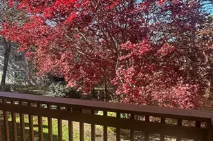 300 Buck Island Rd, Yarmouth, MA 02673 - Photo 17