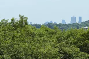 280 Boylston St, Newton, MA 02467 - Photo 3