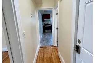 22 Anita Terrace, Boston, MA 02119 - Photo 7