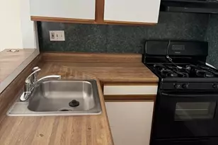 31 Moreland St, Boston, MA 02119 - Photo 1