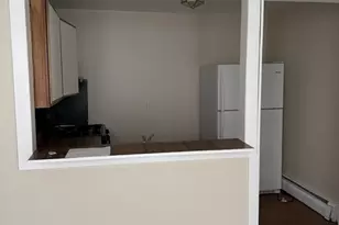 31 Moreland St, Boston, MA 02119 - Photo 3