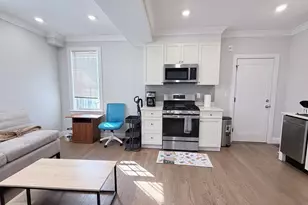 93 George, Boston, MA 02119 - Photo 5
