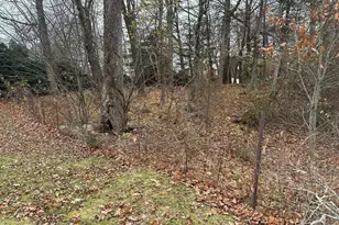 50 Fairview St, Westwood, MA 02090 - Photo 17