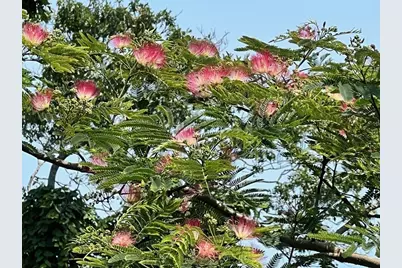 66 Centerville Way, Plymouth, MA 02360 - Photo 31