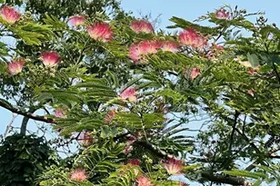 66 Centerville Way, Plymouth, MA 02360 - Photo 31