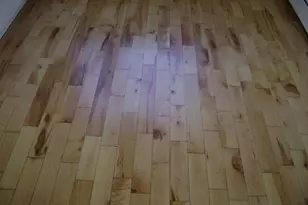 15 Page Rd, Bedford, MA 01730 - Photo 11