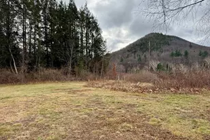 766 Tea St, Charlemont, MA 01339 - Photo 25