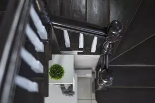 62 Stetson Ave, Swampscott, MA 01907 - Photo 3