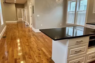 16 E Cottage St, Boston, MA 02125 - Photo 3