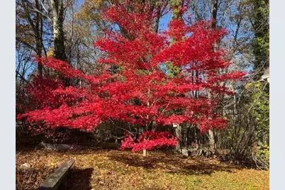 955 Summer Street, Franklin, MA 02038 - Photo 41