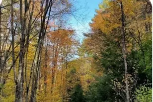 474 Valley Rd, Barre, MA 01005 - Photo 39