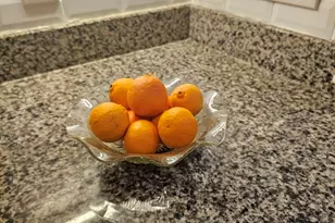 71 Palfrey St, Watertown, MA 02471 - Photo 15