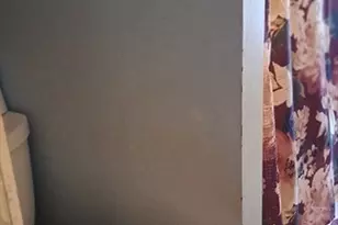 30 Pattison St, Worcester, MA 01604 - Photo 21