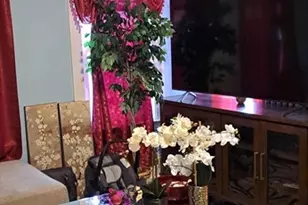 30 Pattison St, Worcester, MA 01604 - Photo 13