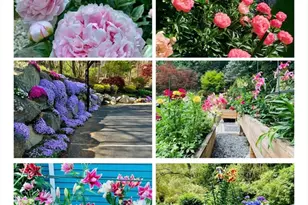 39 Desimone Dr, Marlborough, MA 01752 - Photo 39