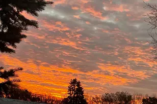 116 Pilgrim Trail, Plymouth, MA 02360 - Photo 23