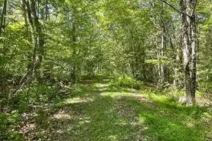 13 Perry St, Douglas, MA 01516 - Photo 1