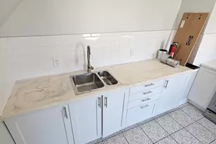 46 Dennis, Boston, MA 02119 - Photo 21