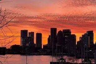 213 Webster St, Boston, MA 02128 - Photo 29