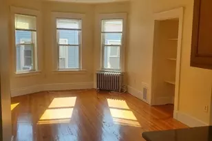 12 Gayland, Boston, MA 02125 - Photo 13