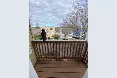 4442 Washington Street #3, Boston, MA 02131 - Photo 19