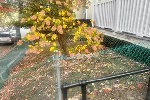 163 Austin St, Worcester, MA 01609 - Photo 3