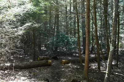 0 Amherst Rd, Pelham, MA 01002 - Photo 19