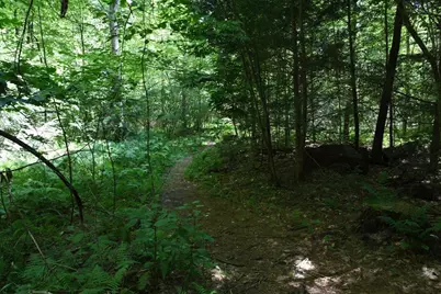 0 Amherst Rd, Pelham, MA 01002 - Photo 17