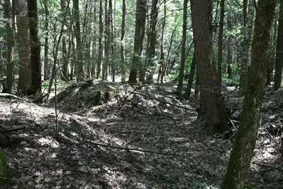 0 Amherst Rd, Pelham, MA 01002 - Photo 23