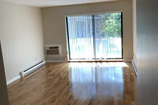 44 Maple St, Boston, MA 02136 - Photo 9