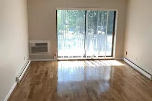 44 Maple St, Boston, MA 02136 - Photo 7