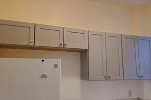 313 Allston St, Boston, MA 02435 - Photo 7