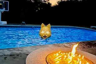 58 Shady Side Dr, Longmeadow, MA 01106 - Photo 3