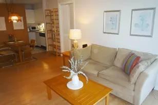 29 Concord Ave, Cambridge, MA 02138 - Photo 9