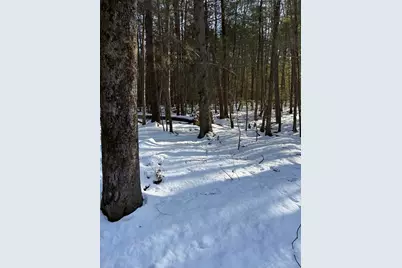 0 Four Mile Brook Rd, Northfield, MA 01360 - Photo 11