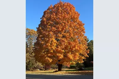 3 Joyce Dr, Tyngsborough, MA 01879 - Photo 39