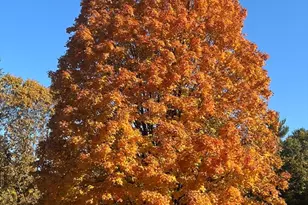 3 Joyce Dr, Tyngsborough, MA 01879 - Photo 39