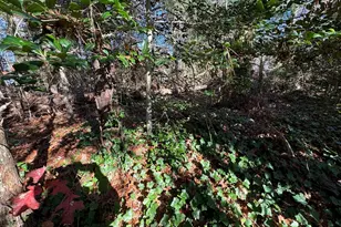 60 Richards Ln, Barnstable, MA 02632 - Photo 15