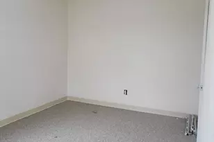 947 River St, Boston, MA 02136 - Photo 5