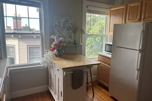 15 Parkton Rd, Boston, MA 02130 - Photo 25