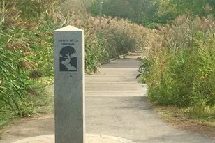 86 Fairmont St, Arlington, MA 02474 - Photo 27